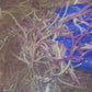 Honduran Wildcafted Sea Moss (Chondrus Crispus)