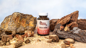 Daily Iron (60 Capsules)